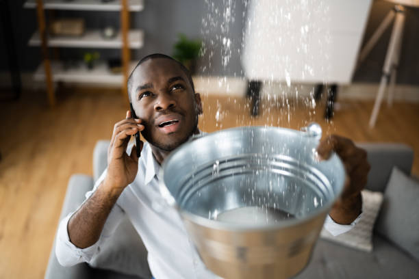  Fourche Crossing, LA Water damage restoration Pros