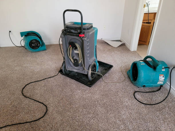 Best Carpet water damage restoration  in Fourche Crossing, LA