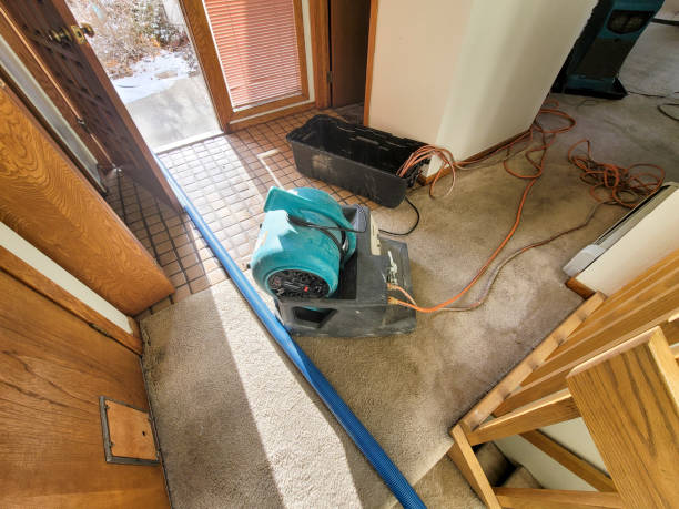 Best Commercial water damage restoration  in Fourche Crossing, LA