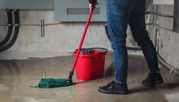 Local water damage restoration in LA