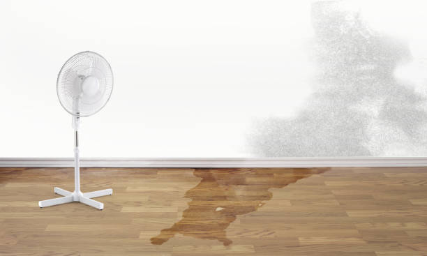 Best Basement water damage restoration  in Fourche Crossing, LA