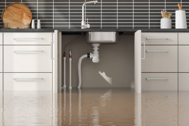 Best Flood damage cleanup  in Fourche Crossing, LA