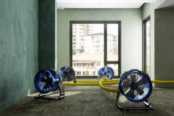 Best Ceiling water damage repair  in Fourche Crossing, LA